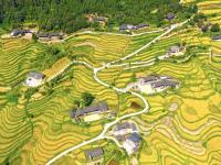湖南东安：山村梯田丰收在望