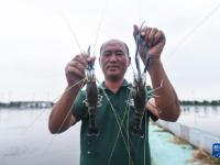 浙江湖州：推进特色生态水产养殖 助力乡村共同富裕