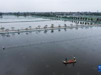浙江湖州：推进特色生态水产养殖 助力乡村共同富裕
