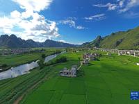 广西都安：瑶山乡村面貌新
