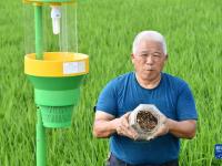 战害虫 保丰收