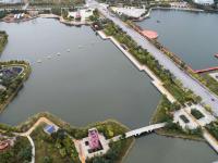 河北黄骅：盐碱地上“长出”城市“绿肺”