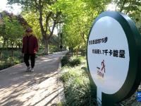 河北石家庄：“街旁游园”靓市容惠民生