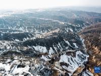 雪后陇原
