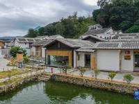 广东潮州：发掘工夫茶文化 带动乡村振兴

