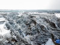 雪后陇原
