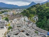 广东潮州：发掘工夫茶文化 带动乡村振兴
