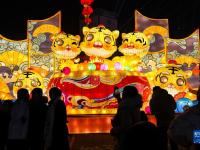 灯会扮靓假日夜空

