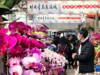 山东青岛：“年宵花节”春意浓
