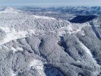 雪后六盘山
