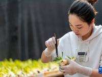 福建漳州：水仙花俏迎新春
