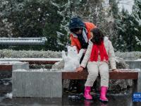 春城昆明迎降雪
