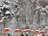 陕西宁陕：雪后风光
