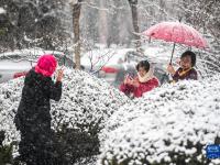 塞外初春迎飞雪
