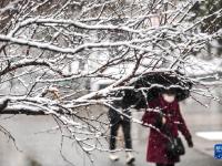 塞外初春迎飞雪
