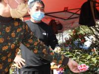 茶花铺就富农路