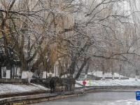 塞外初春迎飞雪
