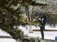 塞外初春迎飞雪

