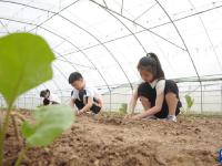 河北内丘：田间学农事
