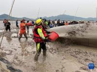 浙江象山：搁浅鲸成功脱困
