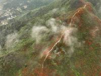贵州丹寨龙泉山：杜鹃花海景致美
