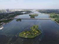 河北石家庄：滹沱河生态治理见成效
