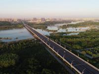 河北石家庄：滹沱河生态治理见成效
