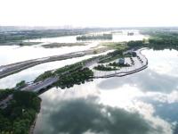 河北石家庄：滹沱河生态治理见成效
