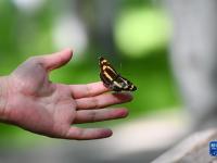 额尔古纳夏日风光
