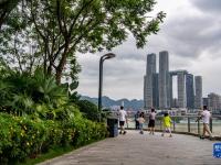 重庆：两江环碧 城绿景美

