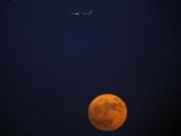 “超级月亮”现夜空
