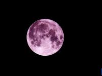 “超级月亮”现夜空
