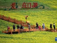 祁连山下“花经济”
