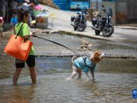 贵阳：夏日亲水乐
