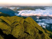云端仙境龙头山
