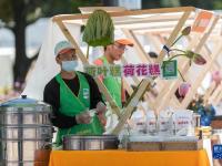 昆明：荷花展引游人
