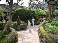 新华全媒+丨秦岭清凉小城旅游热