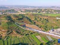 福建宁德：抗旱护茶园
