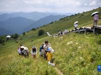 新华全媒+丨秦岭清凉小城旅游热