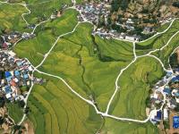 贵州高原：稻谷飘香景如画
