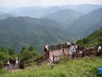 新华全媒+丨秦岭清凉小城旅游热