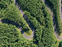 初秋塞罕坝 晨景美如画
