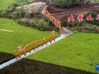 重庆大足：稻田作画迎丰收
