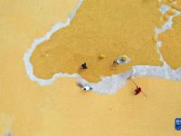 晒秋

