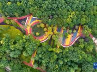 昆明：“口袋公园”扮靓城市空间

