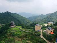 广西苍梧：六堡茶飘香乡村振兴路
