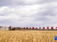 吉林延边：海兰江畔秋收忙
