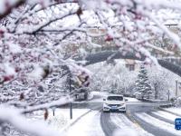 吉林多地迎来降温降雪

