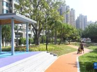广州：家门口的口袋公园
