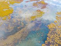 瞰黄河上游湿地秋韵
